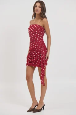 Charley Mini Dress Wine