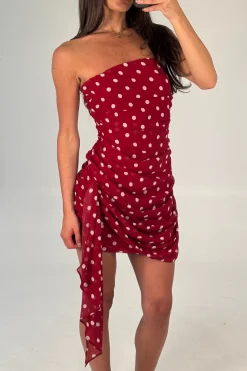 Charley Mini Dress Wine