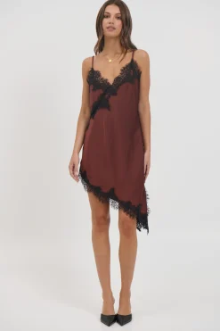 Electra Lace Dress Chocolate