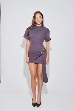 Martini Mini Dress Raisin