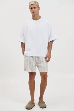 Mitchell Short Blue Stripe