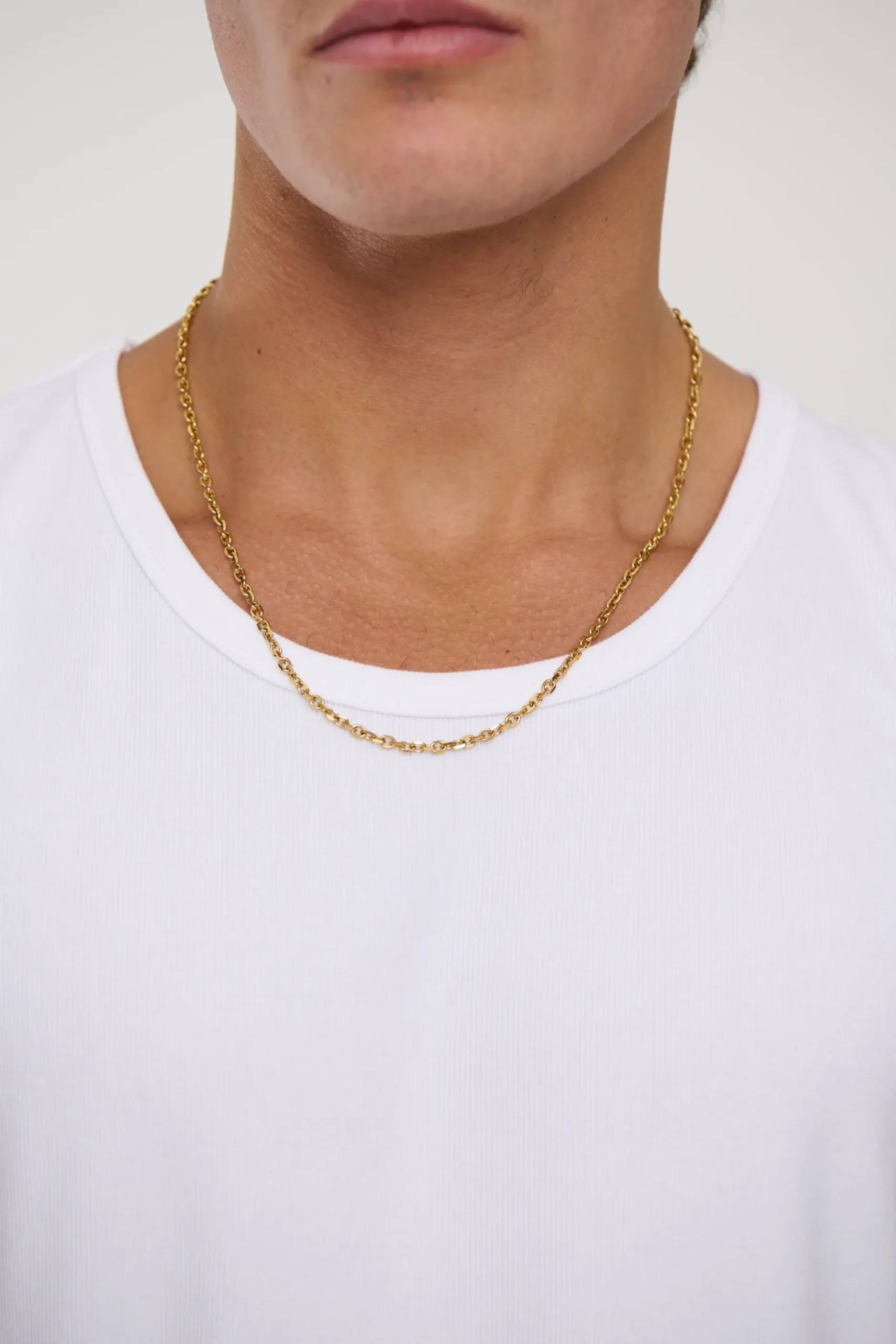 Premium NTH Mateo Chain Gold Plated