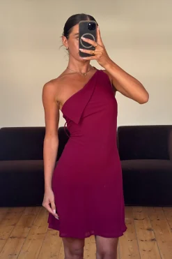 Sophie Mini Dress Berry